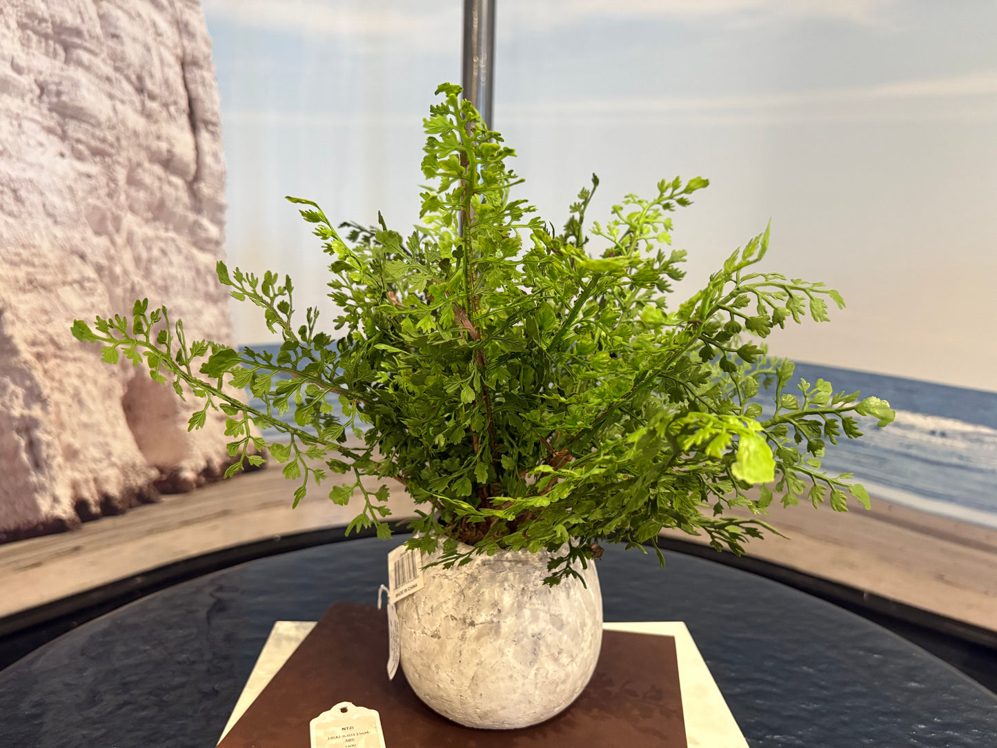 Plastic Potted Fern Plant